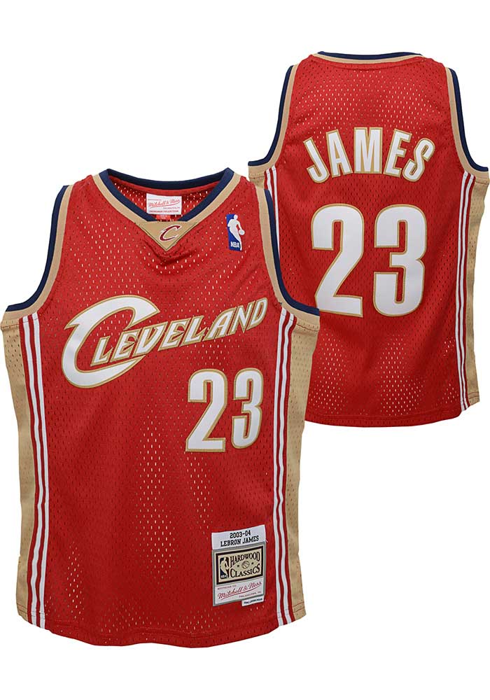 Cleveland Cavaliers LeBron James Youth MAROON Swingman Road