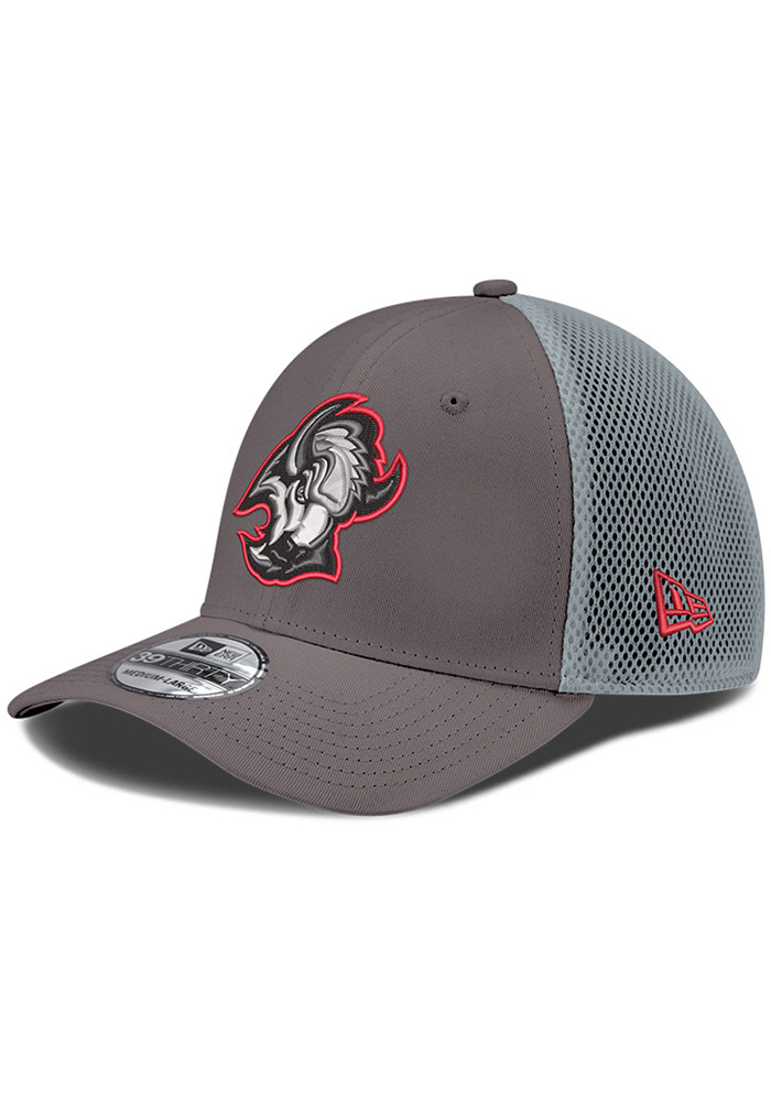 Buffalo Sabres Mens Tonal Primary Logo 39THIRTY ASH New Era Flex