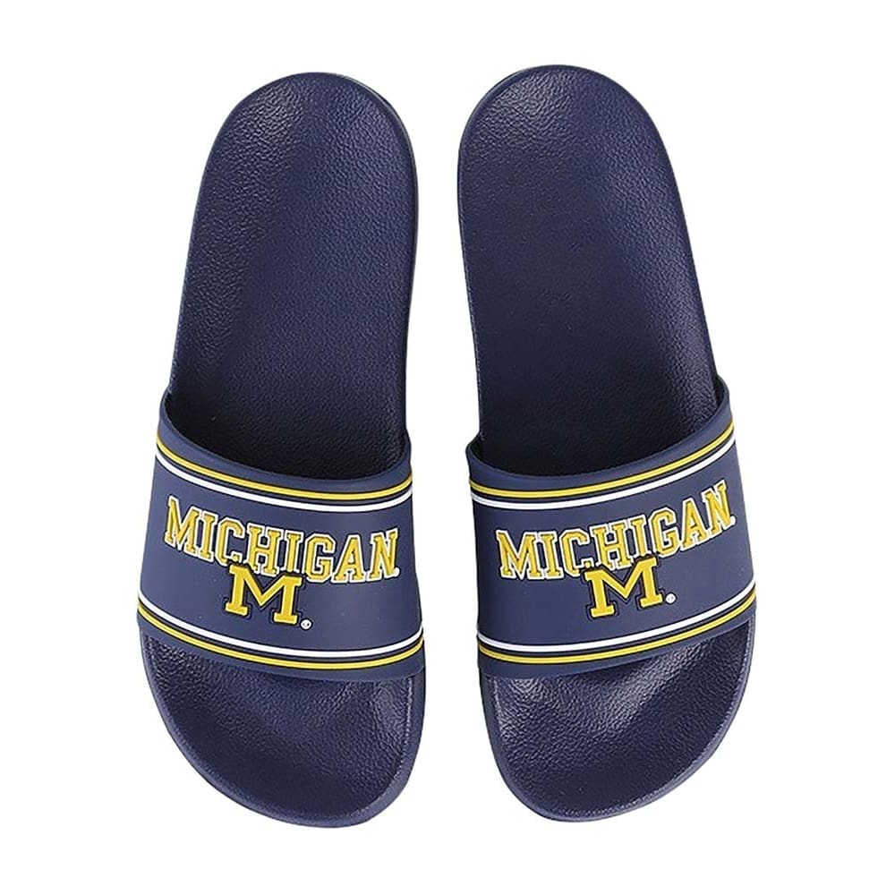 adidas gazelle silver green womens Jordan Brand Alpha Menace Elite University of Michigan Team Issued Cleats  Size 12.5 main image 1