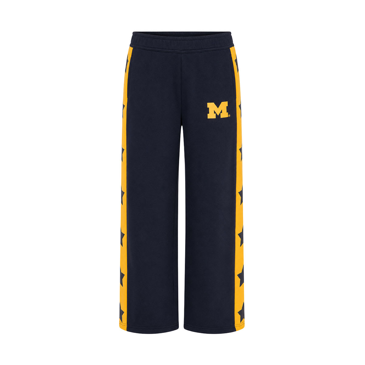 RSM-25270 MICHIGAN PANTS Michigan Wolverines Mens Nike BLUE Dri