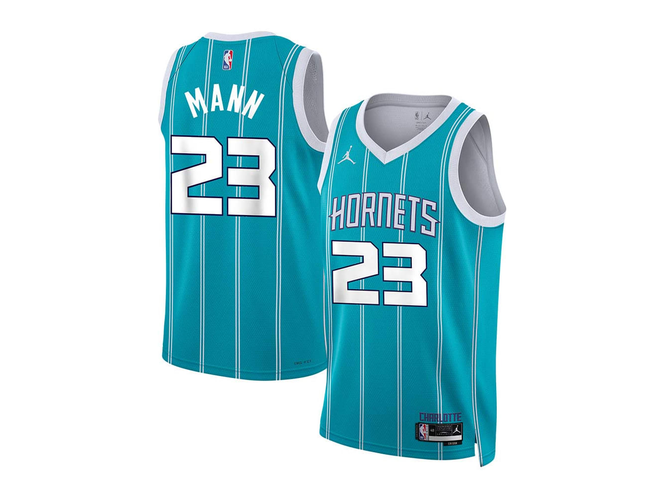 charlotte hornet jersey dress Vintage Baron Davis Champion Charlotte Hornets Jersey Pinstripe Mens 48 (XL) NBA