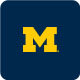 Michigan Wolverines