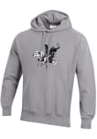 Main image for Mens Iowa Hawkeyes Grey Champion Vault Hooded Sweatshirt