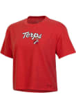 Main image for Maryland Terrapins Red Under Armour Icon Short Sleeve T-Shirt