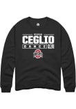 Main image for Reagan Ceglio Rally Mens Black Ohio State Buckeyes NIL Stacked Box Crew Sweatshirt