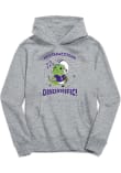 Main image for Toddler Northwestern Wildcats Grey Vive La Fete Dino-Riffic Long Sleeve Hooded Sweatshirt