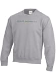 Main image for Mens Baylor Bears Grey Gear For Sports Big Cotton Crew Sweatshirt
