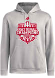 Main image for Mens Indiana Hoosiers Grey Adidas 2025 CFP National Champions Parade Hooded Sweatshirt
