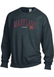Main image for Womens Grey Maryland Terrapins Alumni Crew Sweatshirt