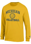 Main image for Mens Michigan Wolverines Yellow Champion Volleyball Jersey Tee