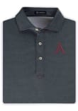 Main image for Turtleson Arkansas Razorbacks Mens Black Chris Short Sleeve Fashion Polo