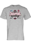 Main image for Indiana Hoosiers Grey Blue 84 2025 Big Ten Football Champions Short Sleeve T Shirt