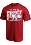 Main image for Indiana Hoosiers 2025 College Football National Champions Perfect Season Big and Tall T-Shirt - Re..