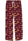 Main image for Youth Minnesota Golden Gophers Maroon Vive La Fete Team Graphic Loungewear Sleep Pants