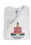 Main image for Dayton Flyers Mens Grey Campus Long Sleeve Crew Sweatshirt