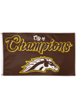 Main image for Brown Western Michigan Broncos 3x5 City of Champions Silk Screen Grommet Flag