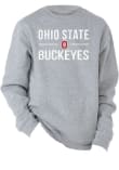 Main image for Youth Grey Ohio State Buckeyes Cruz Long Sleeve Crew Sweatshirt