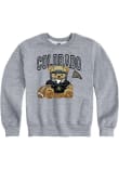 Main image for Youth Colorado Buffaloes Grey Summit Sportswear Bear Necessities Long Sleeve Crew Sweatshirt