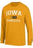 Main image for Mens Iowa Hawkeyes Gold Champion Big Ten Jersey Tee
