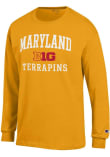 Main image for Mens Maryland Terrapins Gold Champion Big Ten Jersey Tee