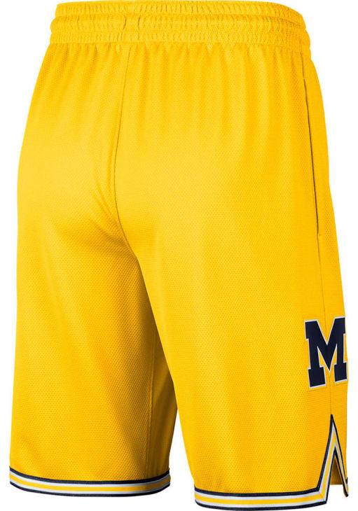 nike michigan shorts
