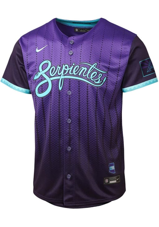 Arizona Diamondbacks Youth PURPLE City Connect Limited Blank