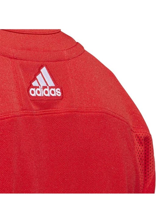 Adidas Detroit Red Wings Mens Red Primegreen Hockey Jersey - 148500482