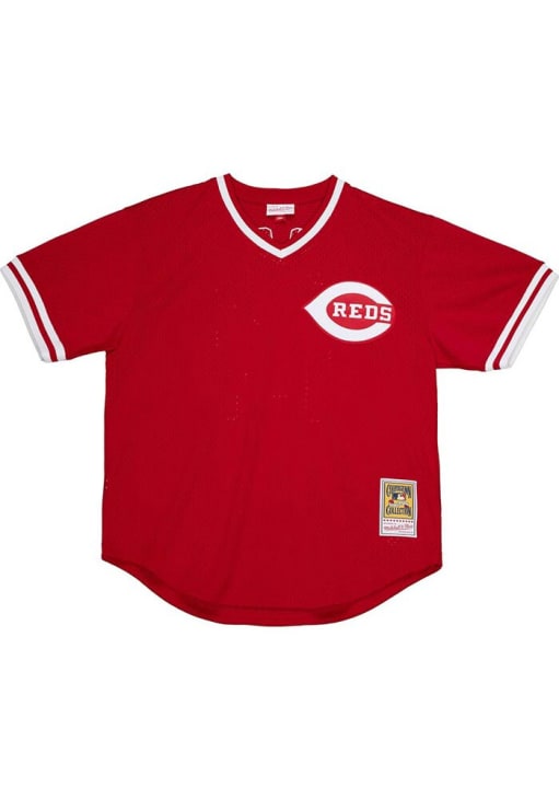 Cincinnati Reds Johnny Bench Mitchell and Ness Red 1983 Authentic