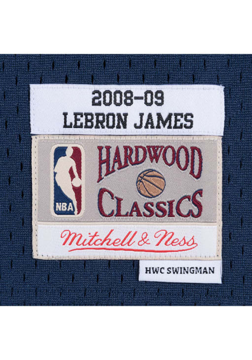 LeBron James Cleveland Cavaliers BLUE 08-09 Alternate Jersey