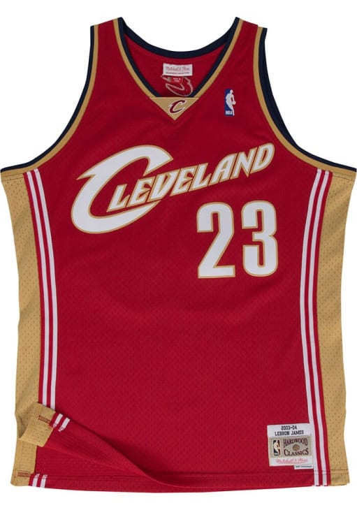 LeBron James Cleveland Cavaliers WINE 03-04 Road Jersey - 5650422