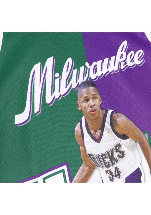 Ray Allen Milwaukee Bucks Mens Mitchell and Ness Short Sleeve