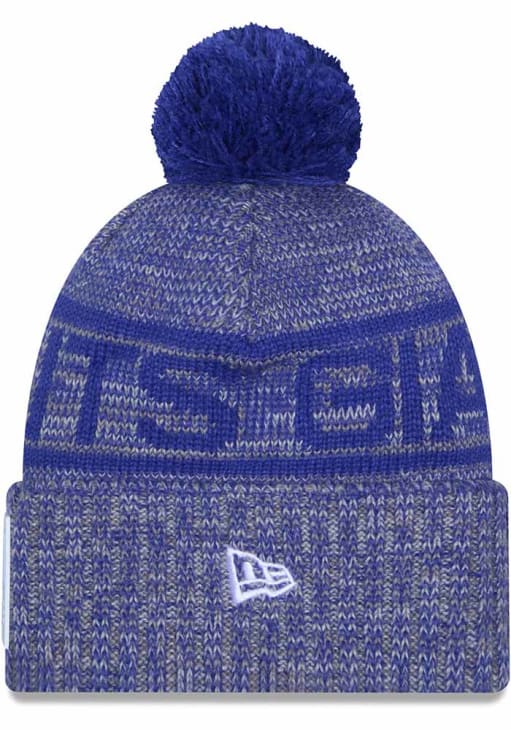 New York Giants New Era GREY 2025 NFL Sideline Cold Weather Sport