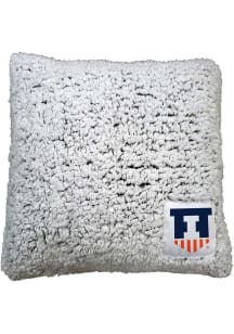 Illinois Fighting Illini Frosty Throw Pillow - Orange