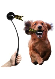Iowa Hawkeyes Ball Launcher Pet Toy