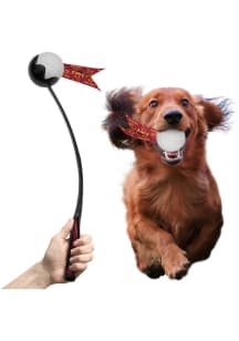Iowa State Cyclones Ball Launcher Pet Toy