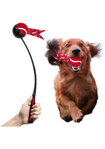 Ohio State Buckeyes Ball Launcher Pet Toy