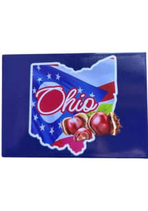 Ohio Flag Magnet