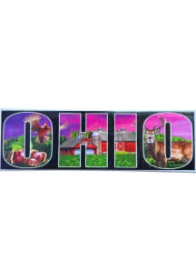 Ohio Colored Letters Magnet