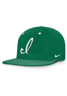 Nike Iowa Hawkeyes Mens Green Dugout True Aero Bill Fitted Hat