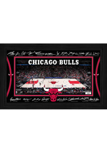 Chicago Bulls Signature Court  Picture Frame - Red