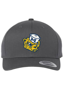Michigan Wolverines University Adjustable Hat - Grey
