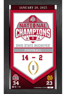 Ohio State Buckeyes 2024 Football National Champions Banner Plaque