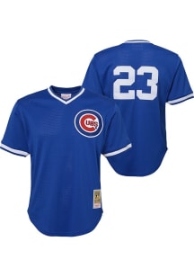 Ryne Sandberg  Chicago Cubs Boys Blue Mesh BP Baseball Jersey