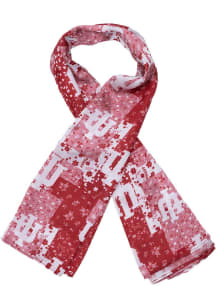 Indiana Hoosiers Satin Paisley Patchwork Womens Scarf