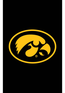 Iowa Hawkeyes Applique Garden Flag - Black