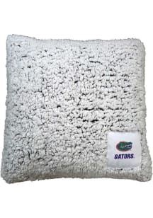 Florida Gators Frosty Throw Pillow - Blue