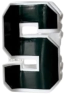 Michigan State Spartans Logo Womens Claw Clip