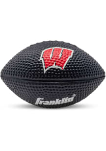 Wisconsin Badgers Black Team Logo Stress ball