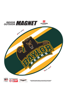 Baylor Bears Stripe Team Color Magnet