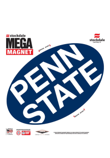 Penn State Nittany Lions Team Color Magnet